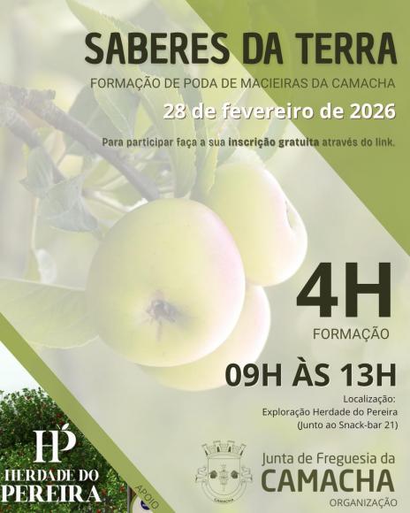 Saberes da Terra
