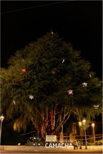 A &Aacute;rvore de Natal da Nossa Terra